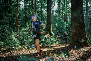 BIB: 
                            <button type="button" onclick="openModal(26129721)" class="btn btn-primary btn-sm float-right btn-popup" data-toggle="modal" data-target=".modal-high-quality">
                        <i class="fas fa-shopping-cart"></i> Add to Cart
                    </button>
                                            <button type="button" onclick="isThisMe(26129721, true)" class="btn btn-success btn-sm float-right btn-popup btn-isme hidden" data-toggle="tooltip" data-placement="bottom" title="นี่คือรูปของคุณใช่ไหม คลิกที่นี่เพื่อเอาเข้าอัลบั้ม">
                        <i class="fas fa-plus"></i> Add to album
                    </button>
                    <button type="button" onclick="isThisMe(26129721, false)" class="btn btn-warning btn-sm float-right btn-popup btn-isnotme hidden">
                        <i class="fas fa-ban"></i> Remove from album
                    </button>